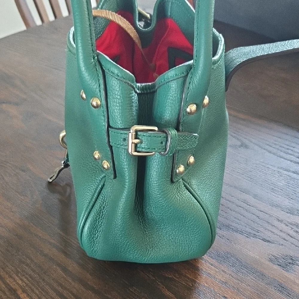 Dooney & Bourke Leaf Green Leather Shoulder Bag with Gold Accents - Picture 5 of 9